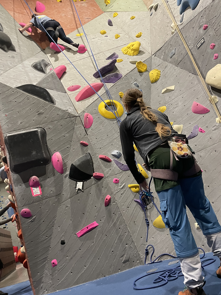 One student belays another student rock climbing at an indoor climbing gym.