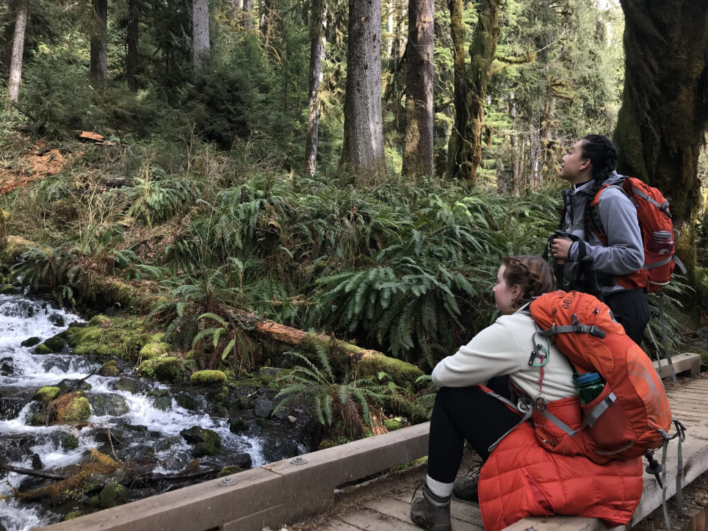 Two students on a small bridge looking at a waterfall