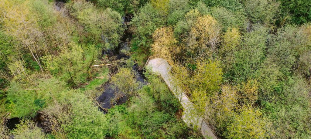 aerial view of the boardwalk in the North Creek Wetland