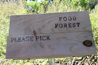 Wooden sign that says "food forest, please pick"