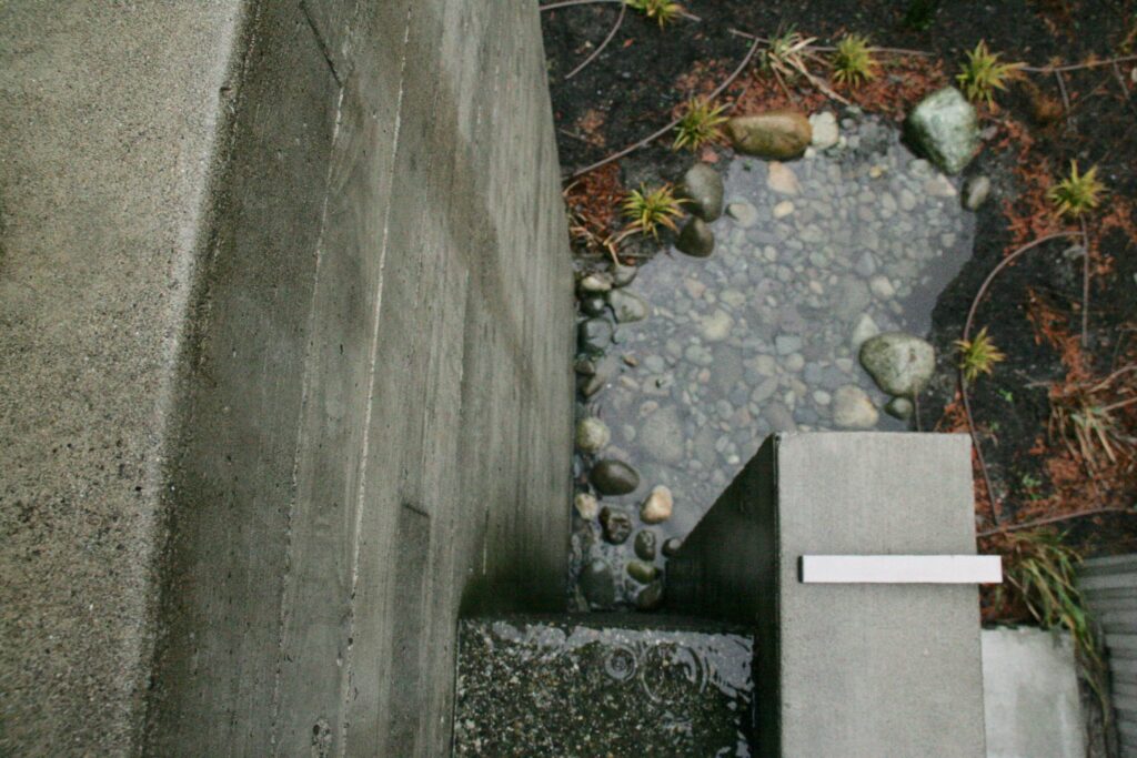 campus rain garden from the top view