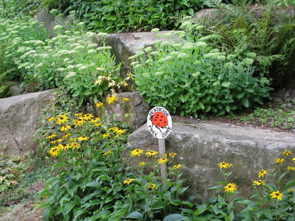 A sign reading "pesticide free zone" in a campus garden