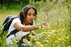 A student doing a bee survey in the field