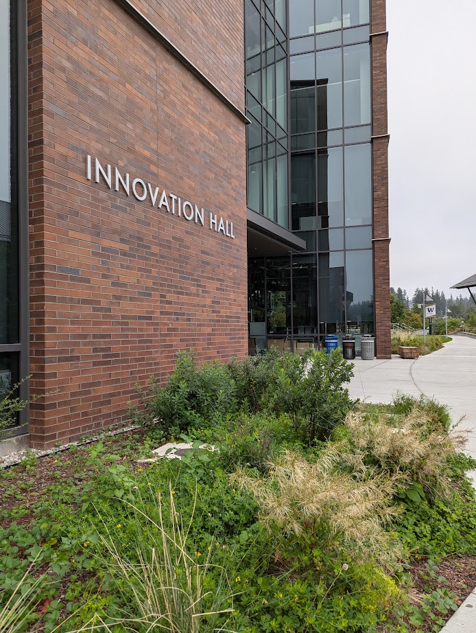 A lush rain garden adjacent to Innovation Hall.