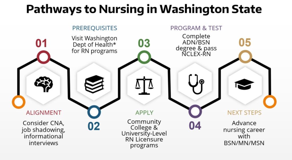 info graphic showing the pathways to nursing, which are described in the text below