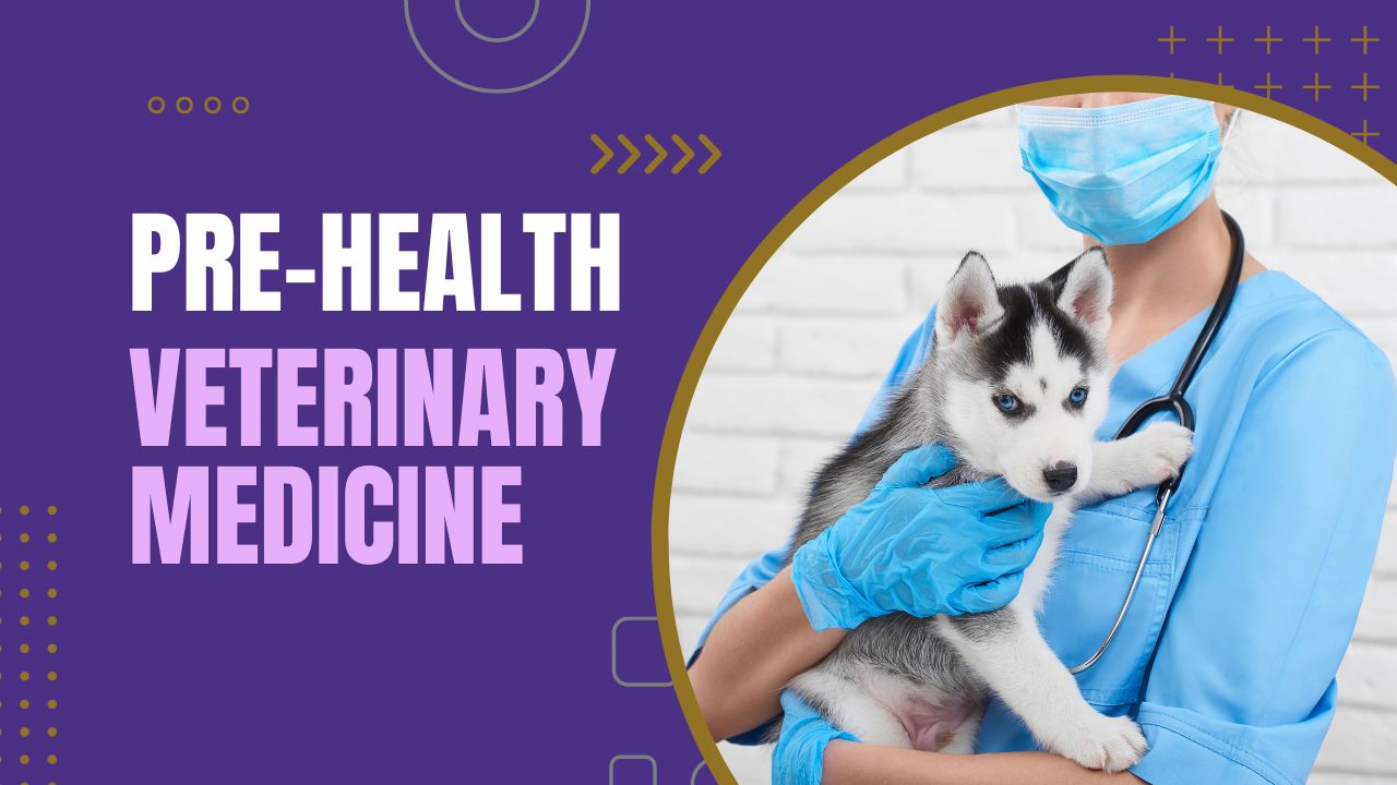 Resources for Veterinarians