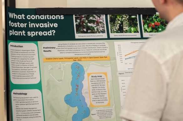 Student looks at research poster titled "What conditions foster invasive plant spread?"