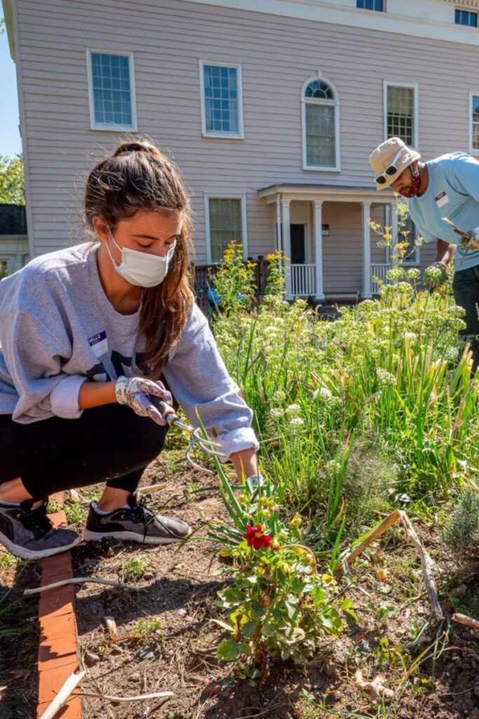 student volunteers help with weeding and pruning at a non-profit organizational farm