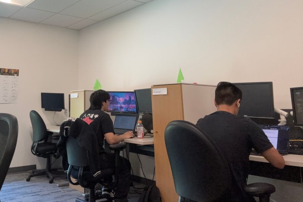 Two students sitting in front of their computer