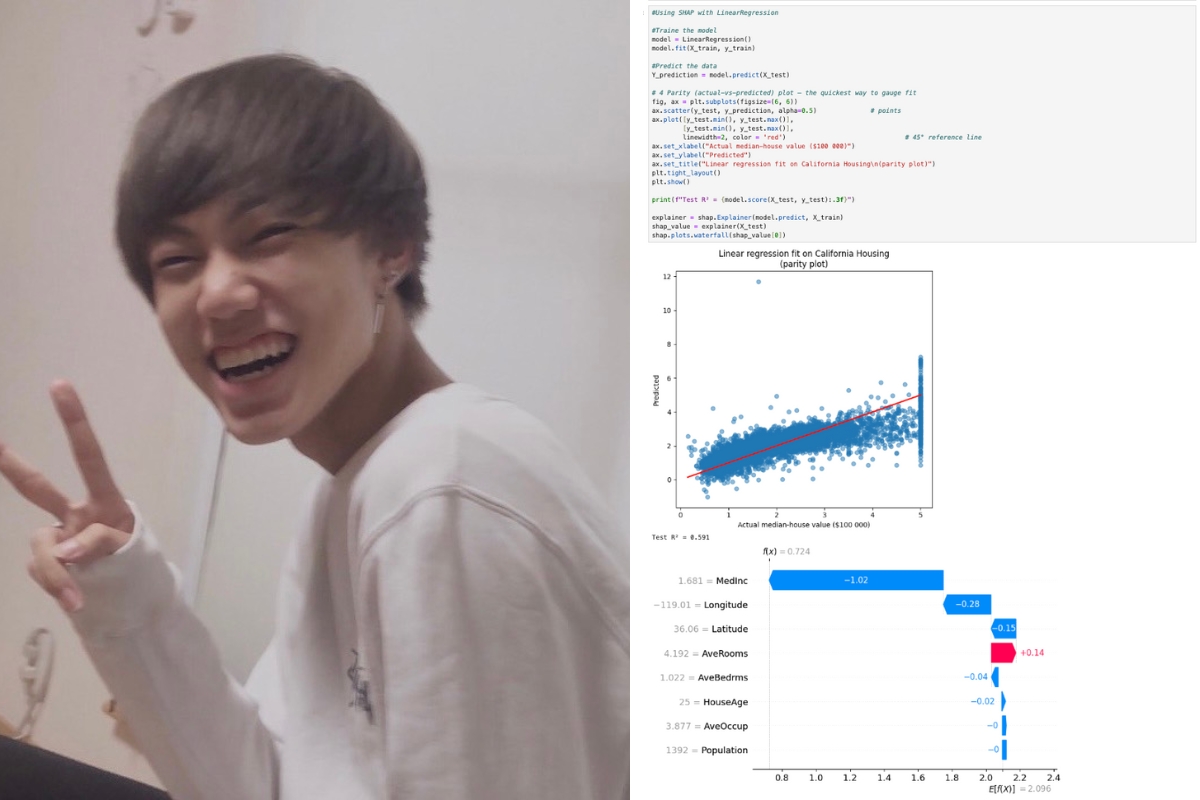 Opening the Black Box: My Journey into Machine Learning Explainability ...