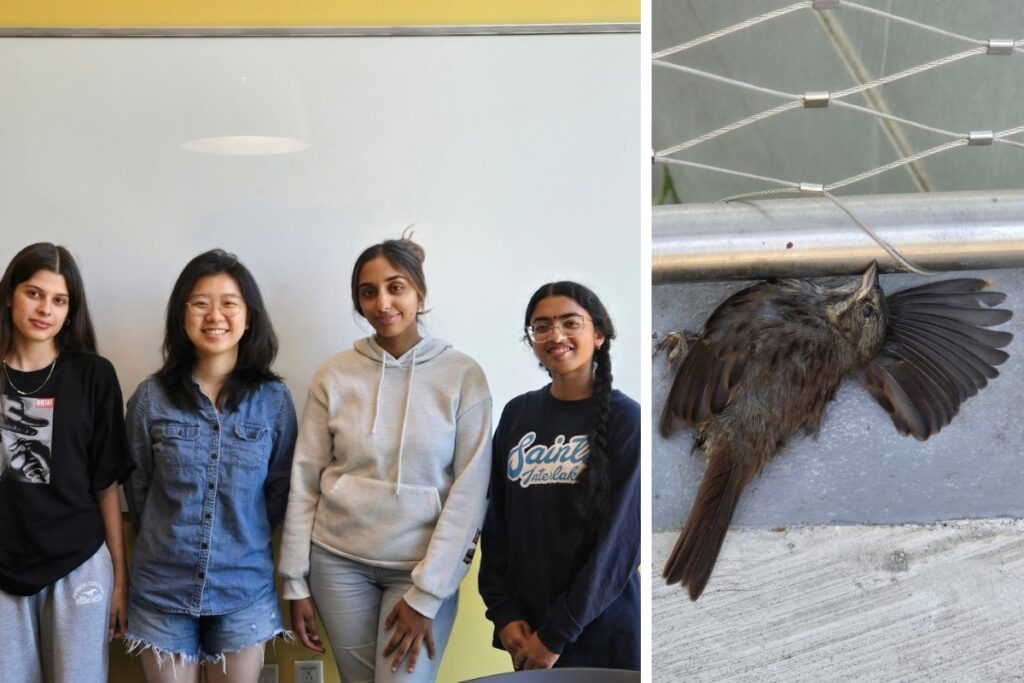 group photo of team and a picture of a dead young sparrow found next to Arc