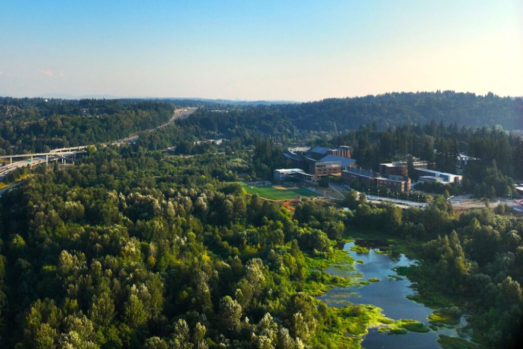 uw bothell landscape