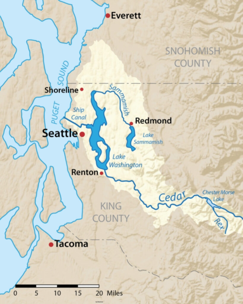 Modern Lake Washington has two rivers flowing in: the Sammamish River at the north and the Cedar River at the south. Lake Washington now drains through the ship canal at its center.