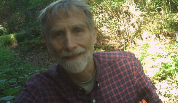 Dr. David Stokes