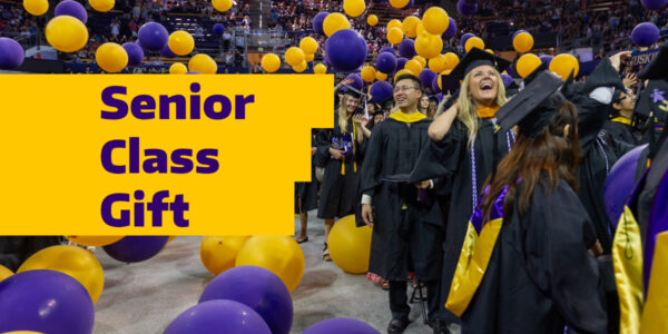 Senior Class Gift grads celebrating with purple and yellow balloons