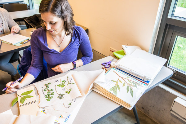 Student sitting at a dest with a notebook examining leaves.