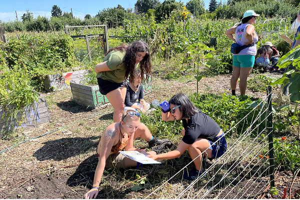 Students learning about garden spaces