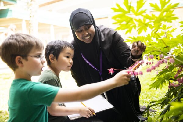 A person with two children looking at plants.