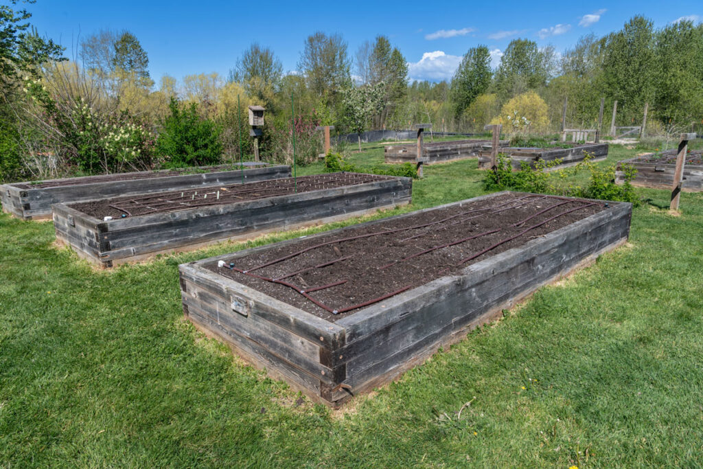 Garden beds and a bee pollinator box.