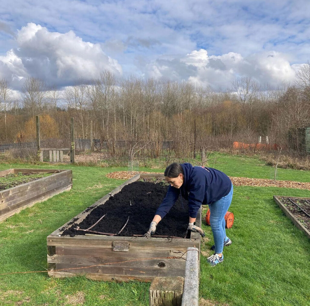 A person working in a garden box.