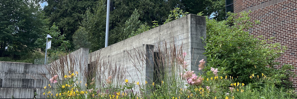 A rain garden.