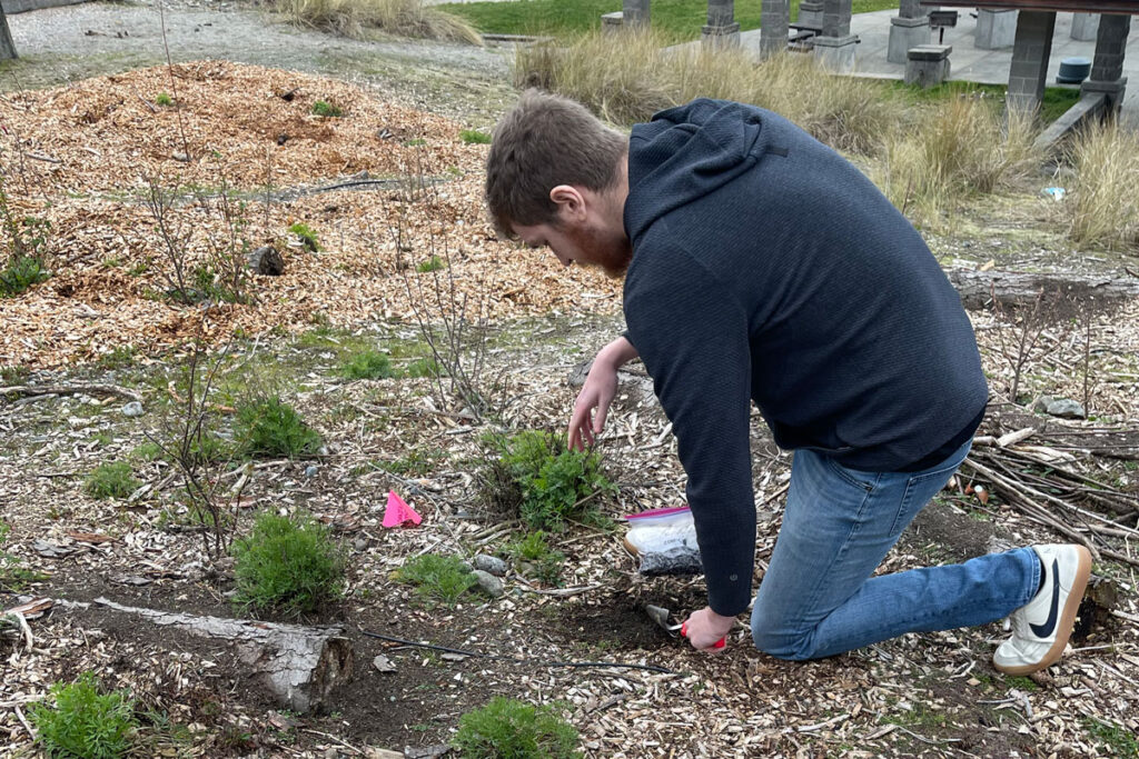 A person grabbing a soil sample.