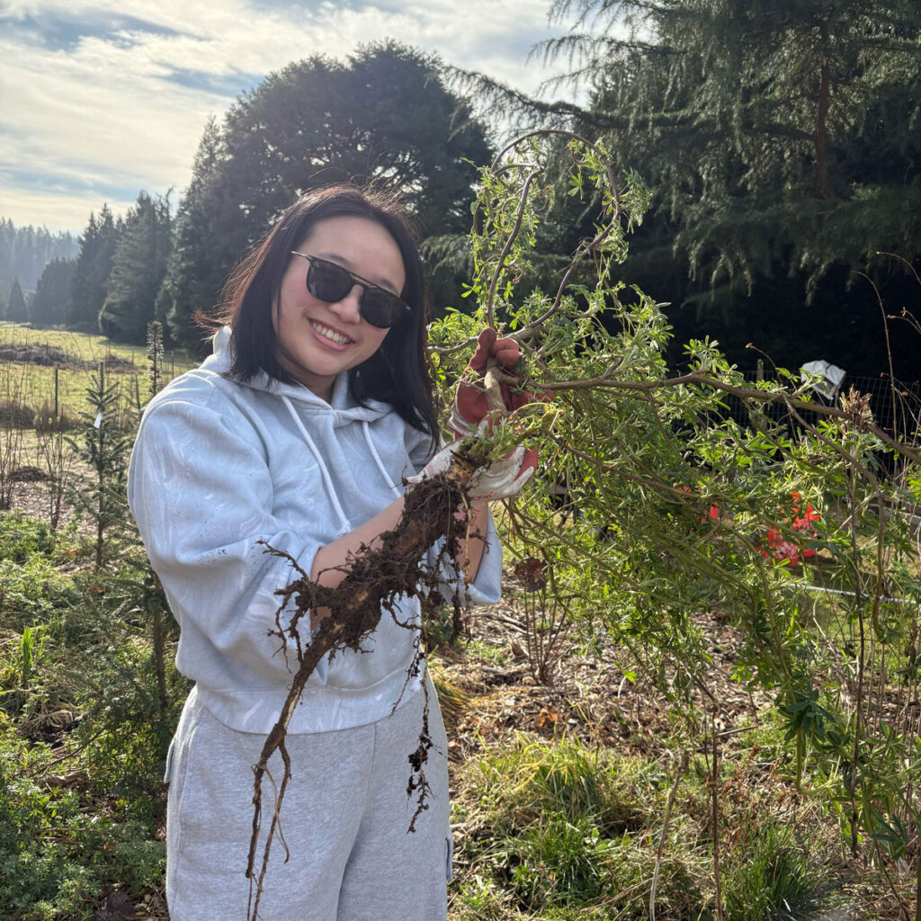 A person holding a plant.