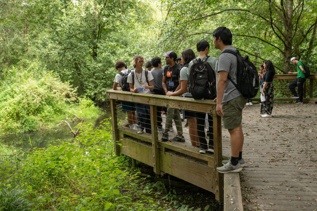 People in a wetland area.