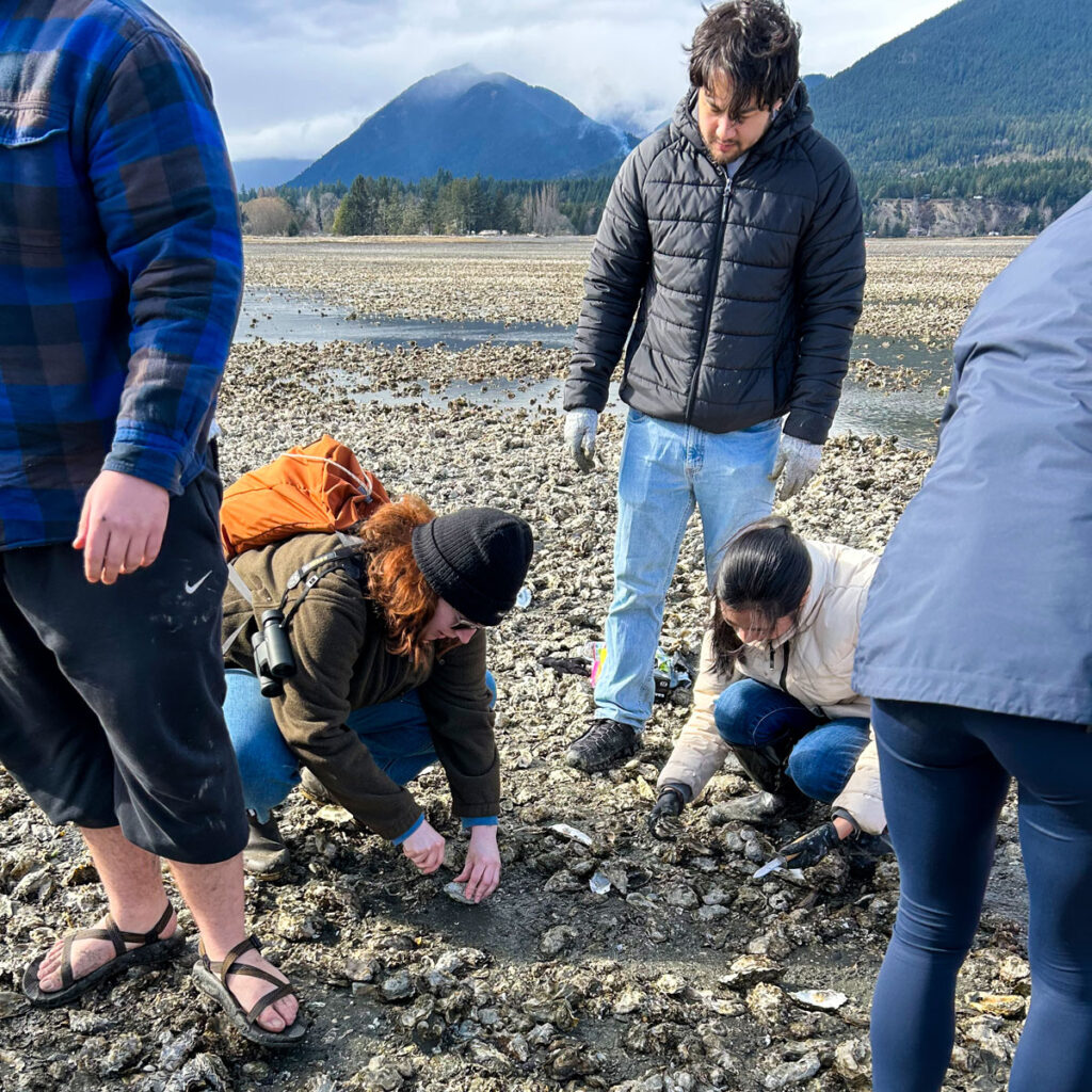 People looking for oysters.