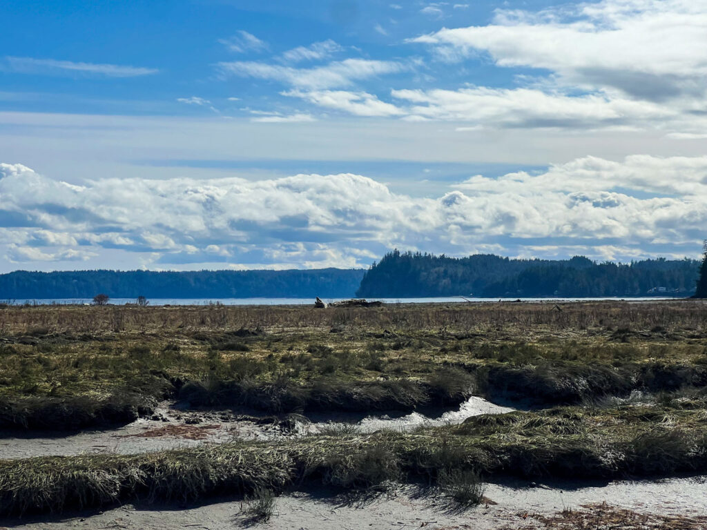 A landscape featuring water and mountains.