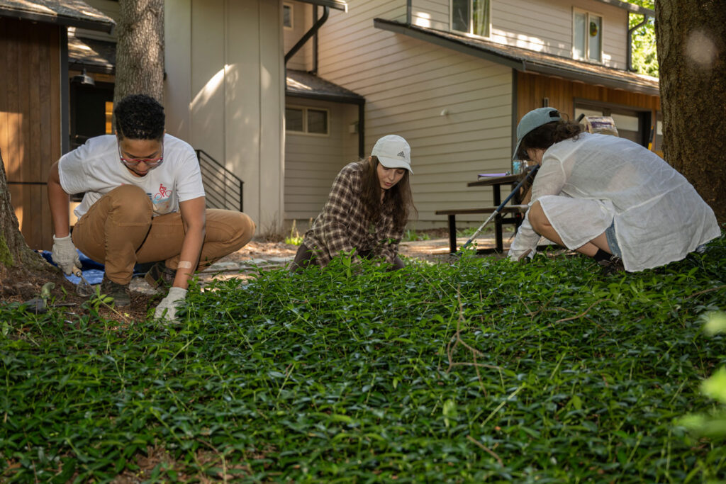 People doing yard work.