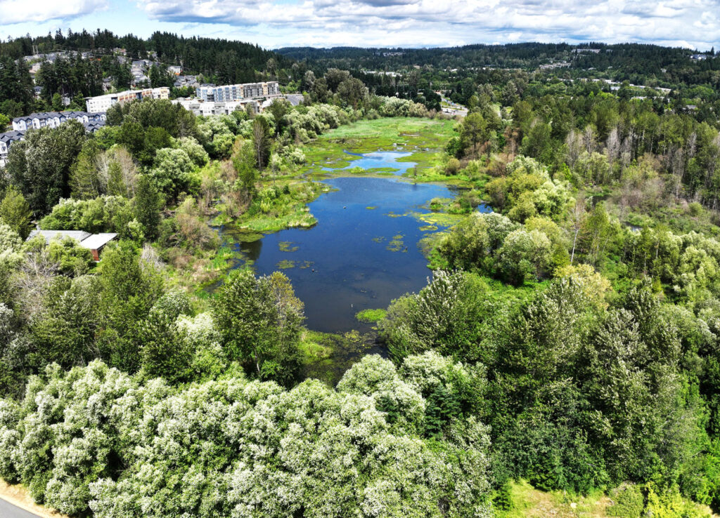 An aerial image of an urban wetland.