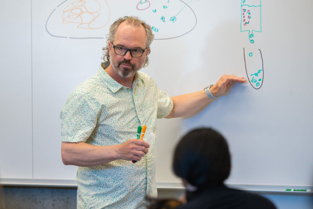 A person gesturing to a drawing on a whiteboard.