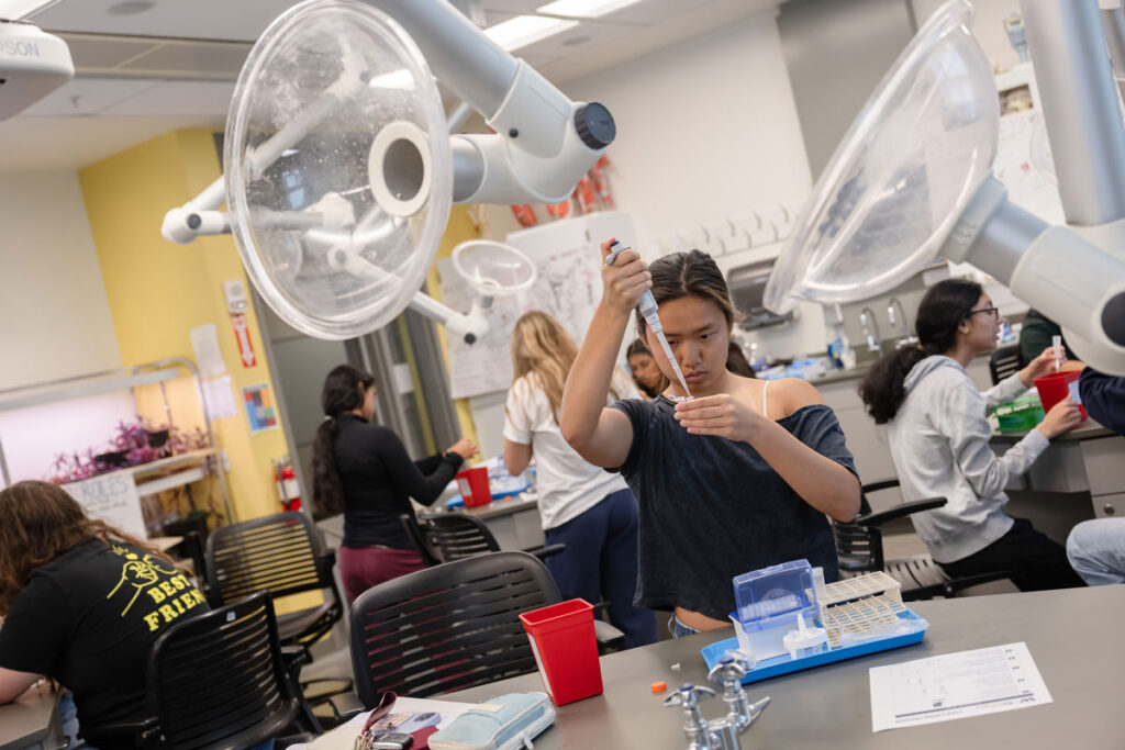 A person using a pipette.