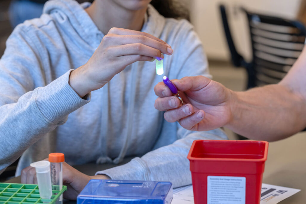 A person holding a light under a small tube.