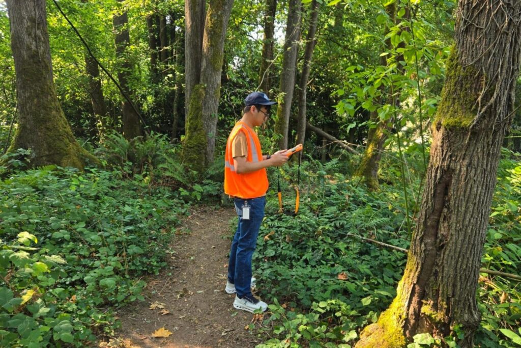 A person on a tablet in a wooded area.