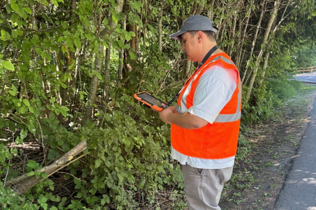 A person looking at a tablet and standing near a row of trees.