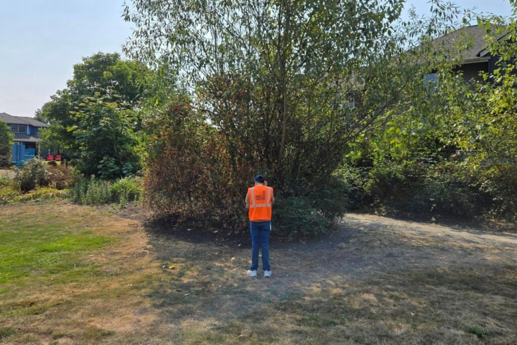 A person in front of a tree.