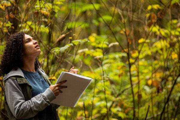 A person in a forest.