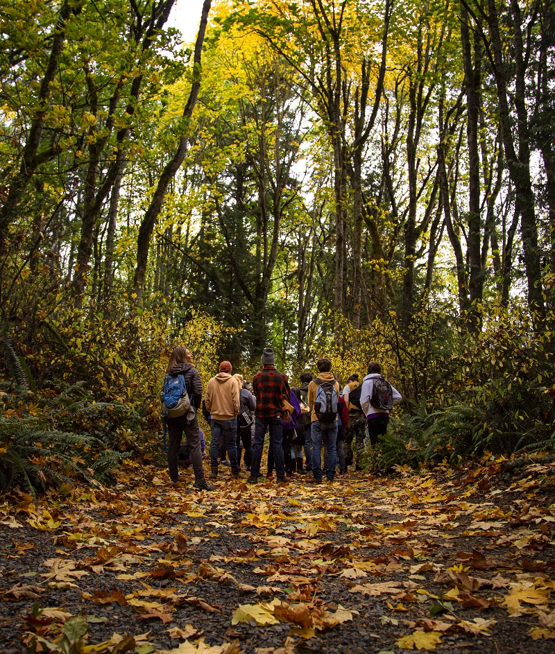 students in a group at the end of a trail standing with trees above and leaves on the ground.