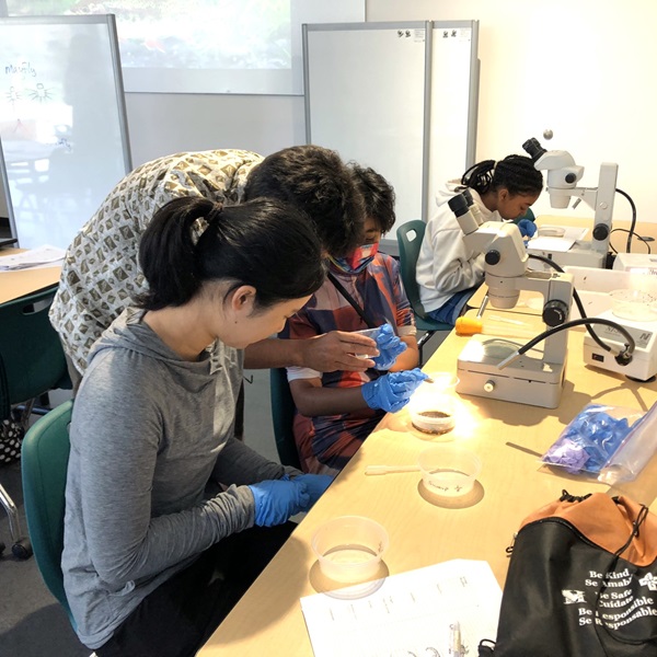 Dr. Jensen bends over students at desk to help with microscope slides
