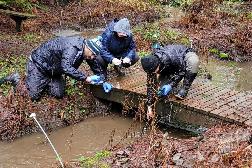 Students take field samples at a stream.