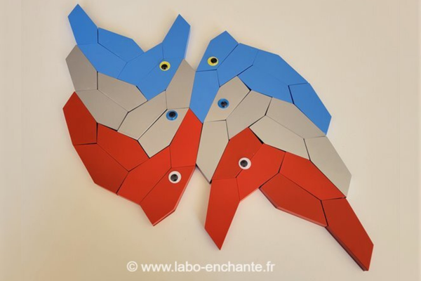 Model of pentagons put together to form six toucan shapes – two in blue, two in gray and two in red. Googly eyes are placed on top of the toucan shapes.