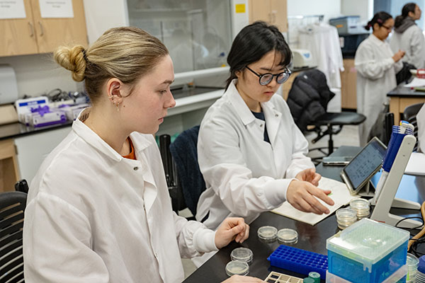 Two biology students in lab coats conducting experiments with piety dishes
