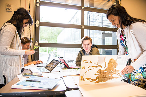 Students and faculty in the conservatory analyzing plant samples
