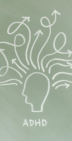 outline of a head with loopy arrows radiating from it with an "ADHD" caption