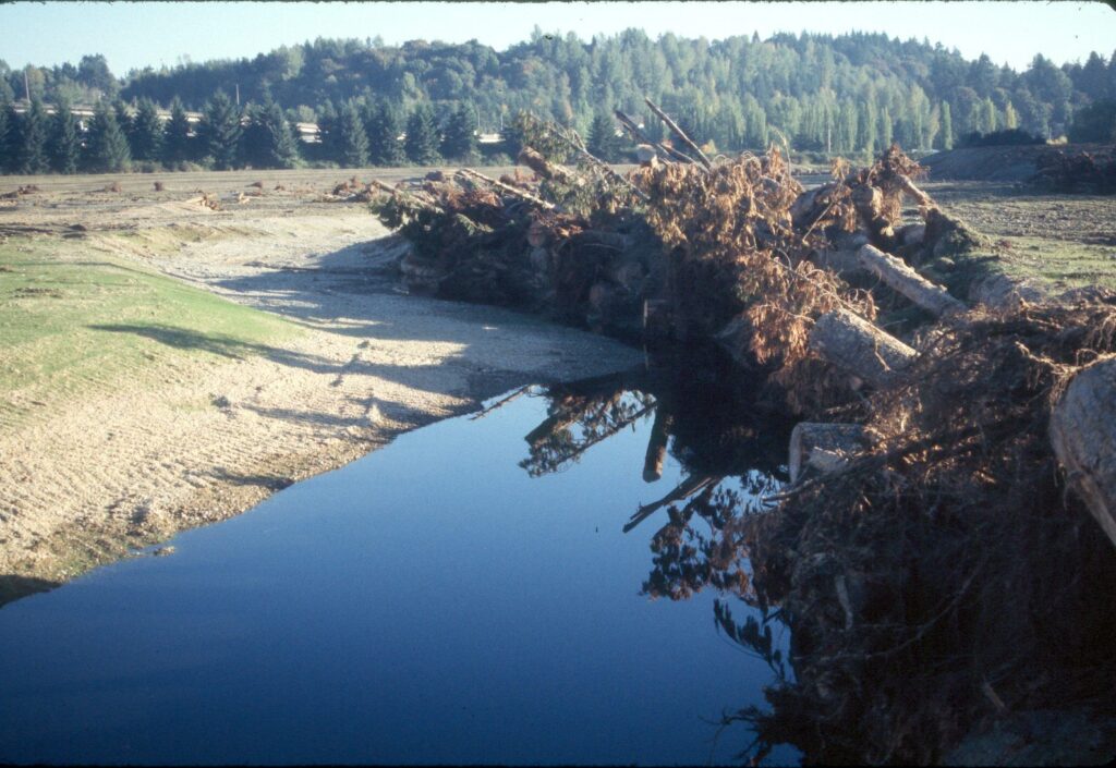 Woody debris being placed into creek channel