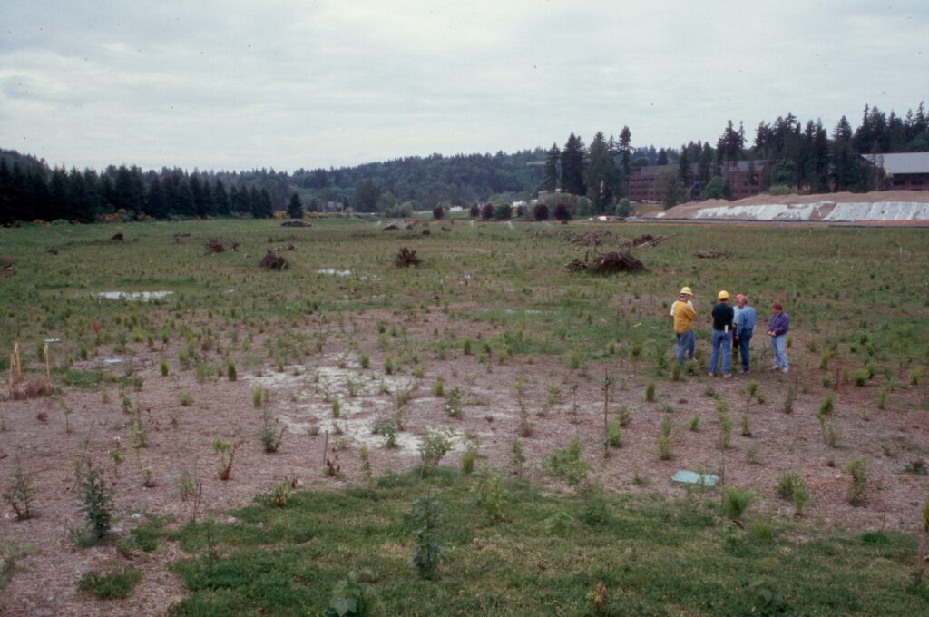 A group of four people stand in the newly planted floodplain of North Creek.