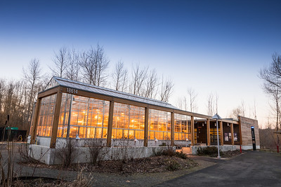 Greenhouse at dawn