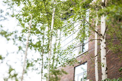 Aspen near library building on campus